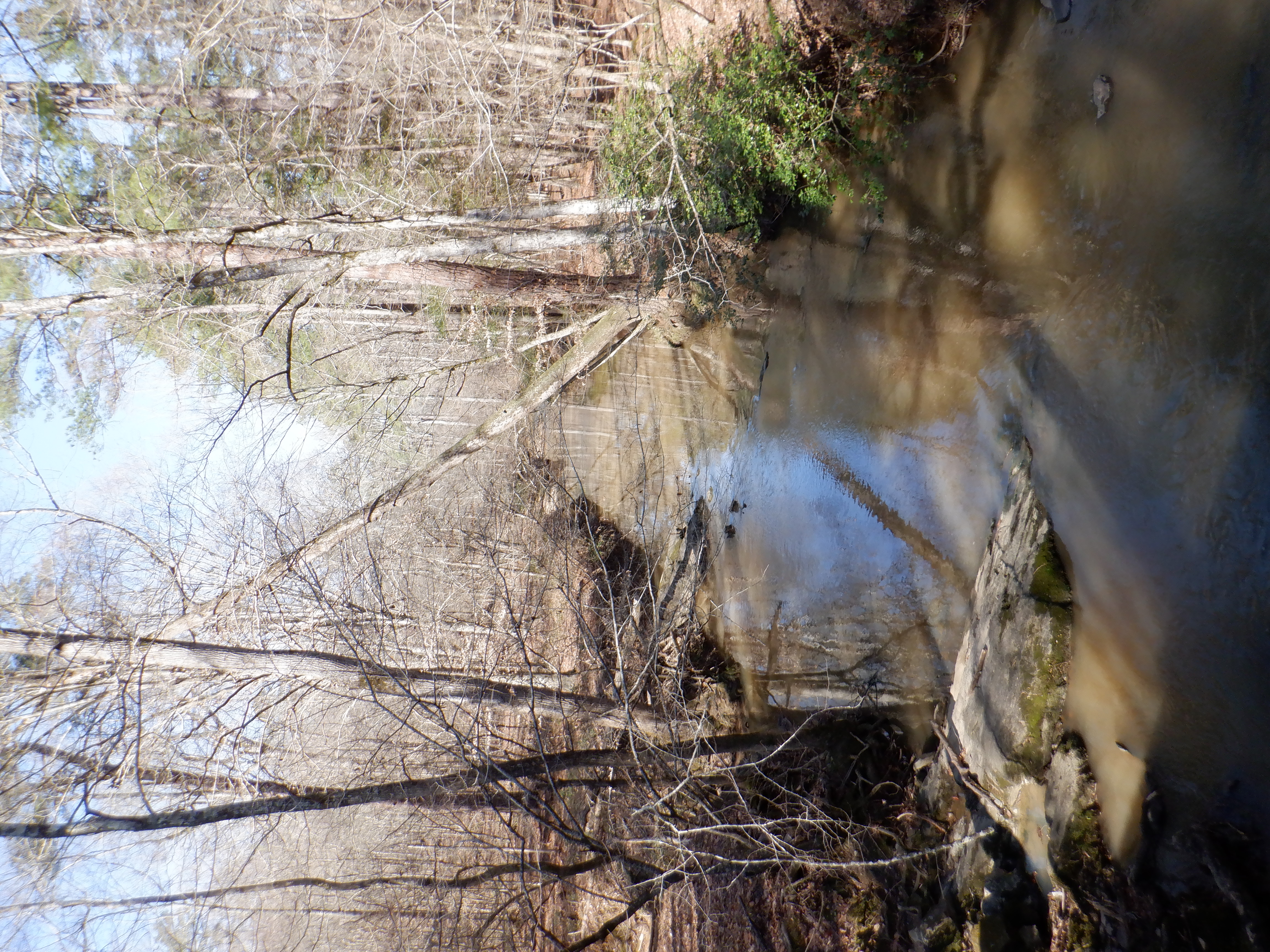 ./2020/01 - Find Larry/DSCF0821.JPG